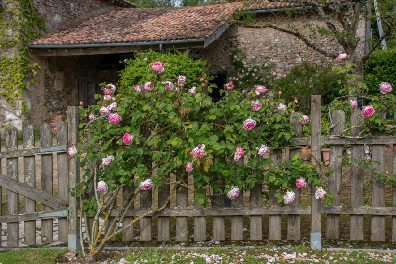 Chambres D'Hotes La Pocterie Vouneuil-sur-Vienne Exteriör bild